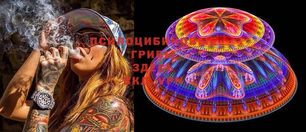 прущие крисы Гусев