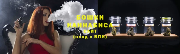 прущие крисы Гусев