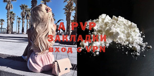 прущие крисы Гусев