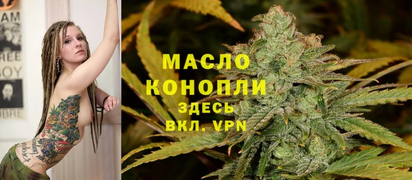 дурь Гусиноозёрск