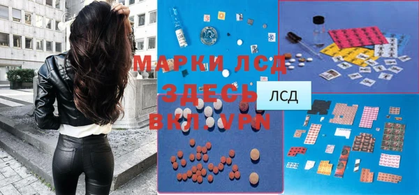 прущие крисы Гусев