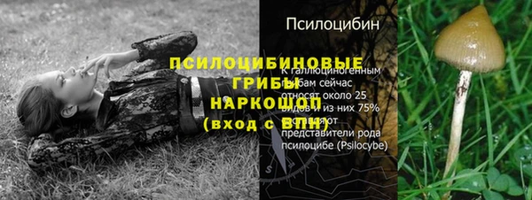 синтетический гашиш Гусь-Хрустальный