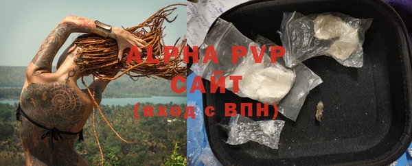 дурь Гусиноозёрск