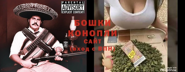 дурь Гусиноозёрск