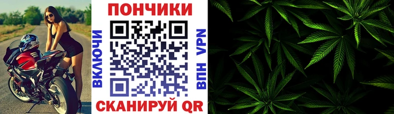 Конопля план  Купить  Ивдель 